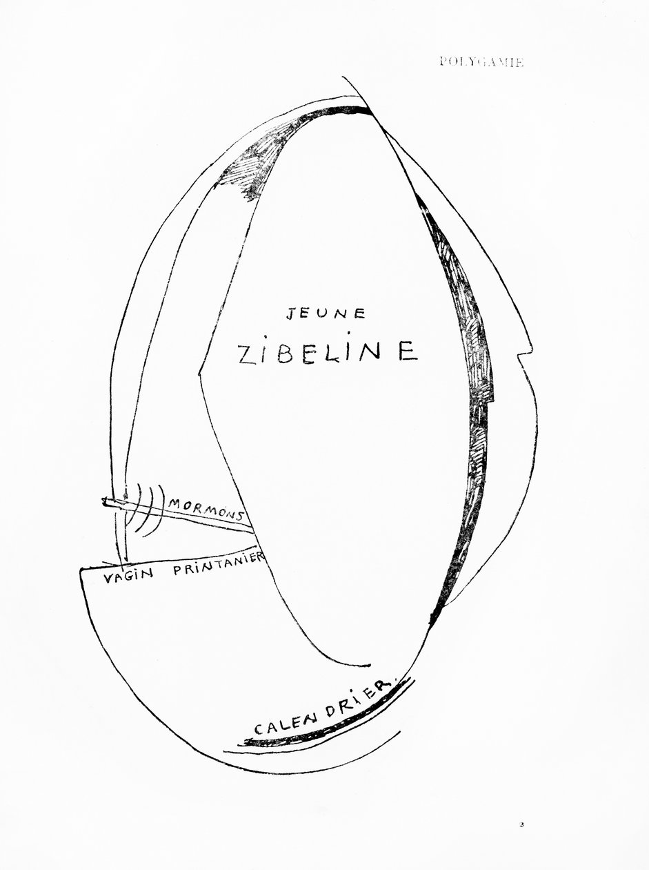Poemes et Dessins de la Fille nee sans Mere》，第 15 期，洛桑 Reunies 出版社出版 作者 弗朗西斯·毕卡比亚