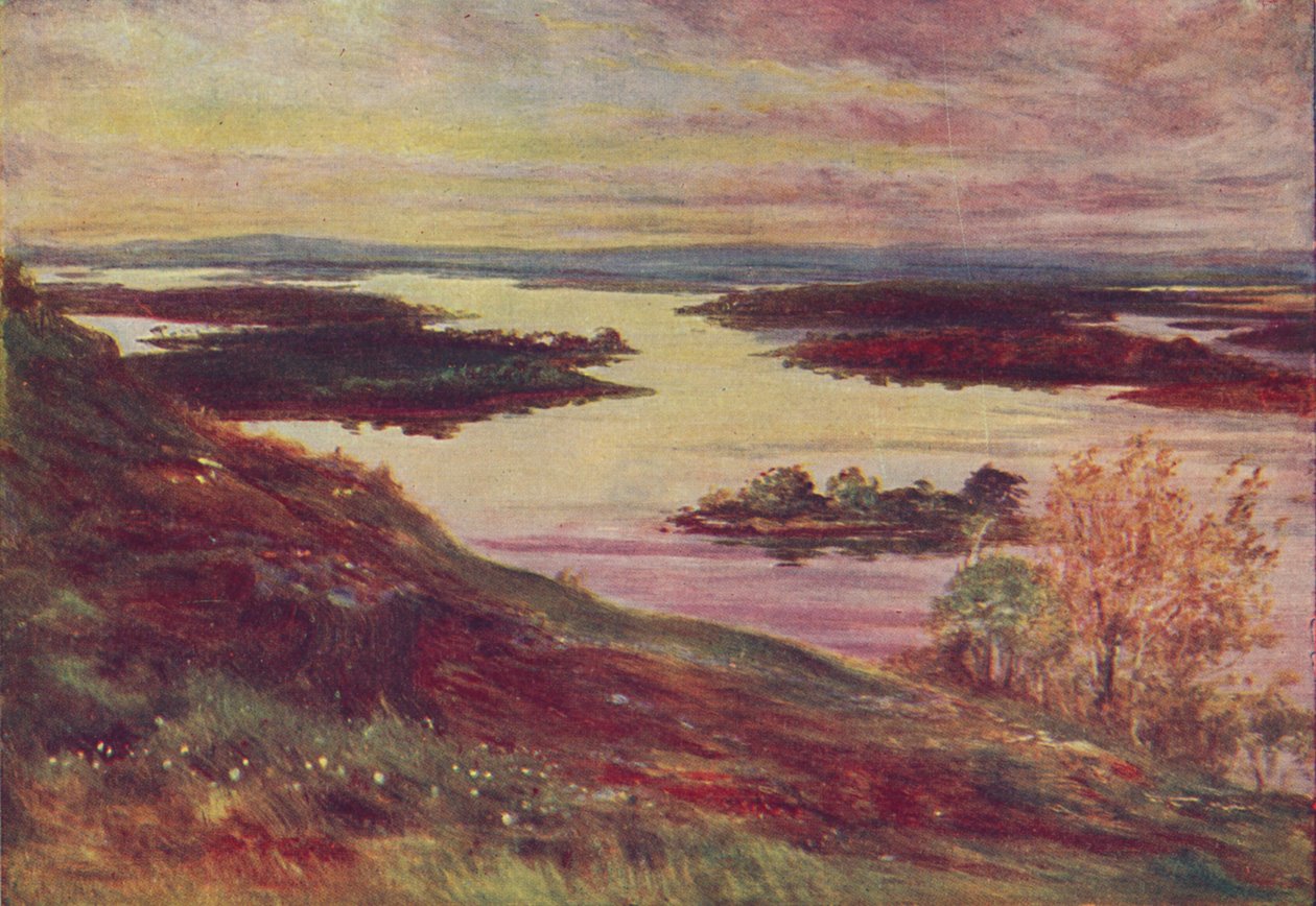 爱尔兰湖泊》，1910年 作者 弗朗西斯·沃克