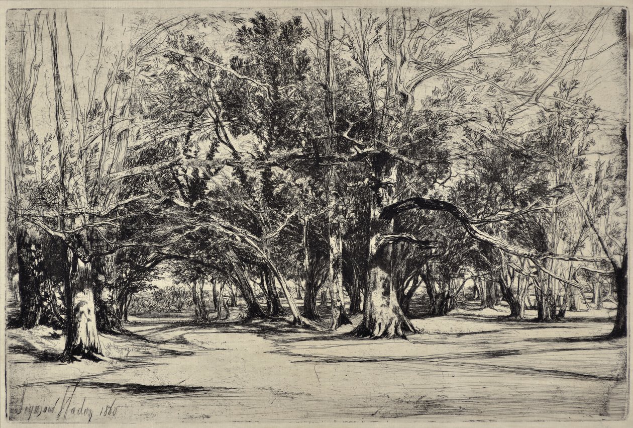 A By-road in Tipperary 作者 弗朗西斯·西摩·哈登（Francis Seymour Haden）