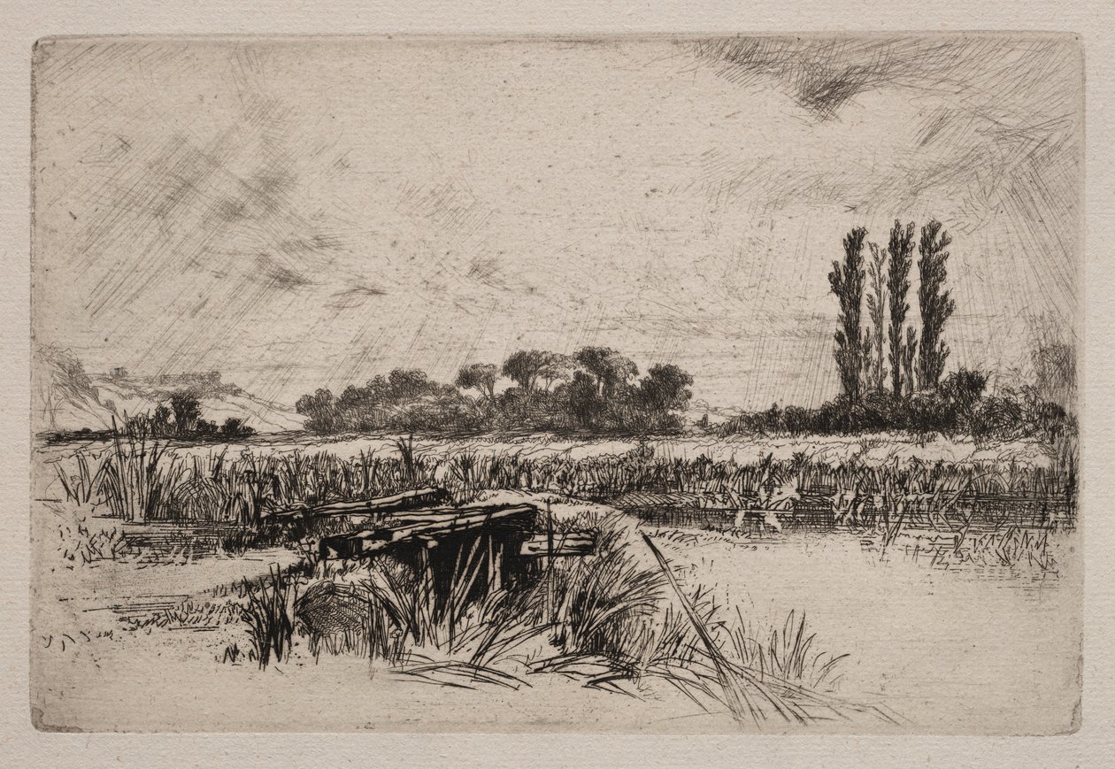 水上草原，1859年。 作者 弗朗西斯·西摩·哈登（Francis Seymour Haden）