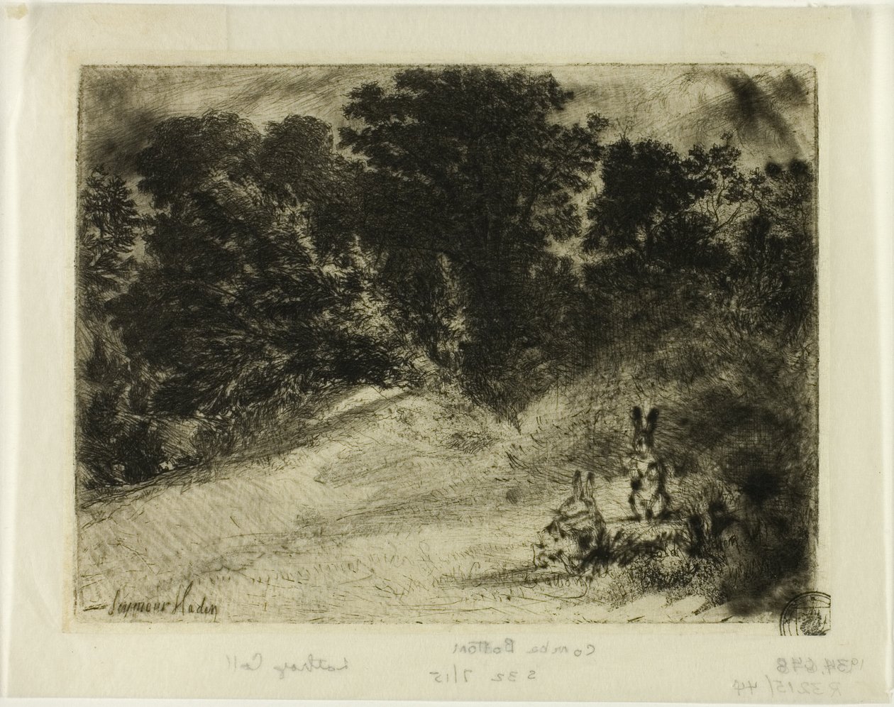 Combe Bottom 作者 弗朗西斯·西摩·哈登（Francis Seymour Haden）