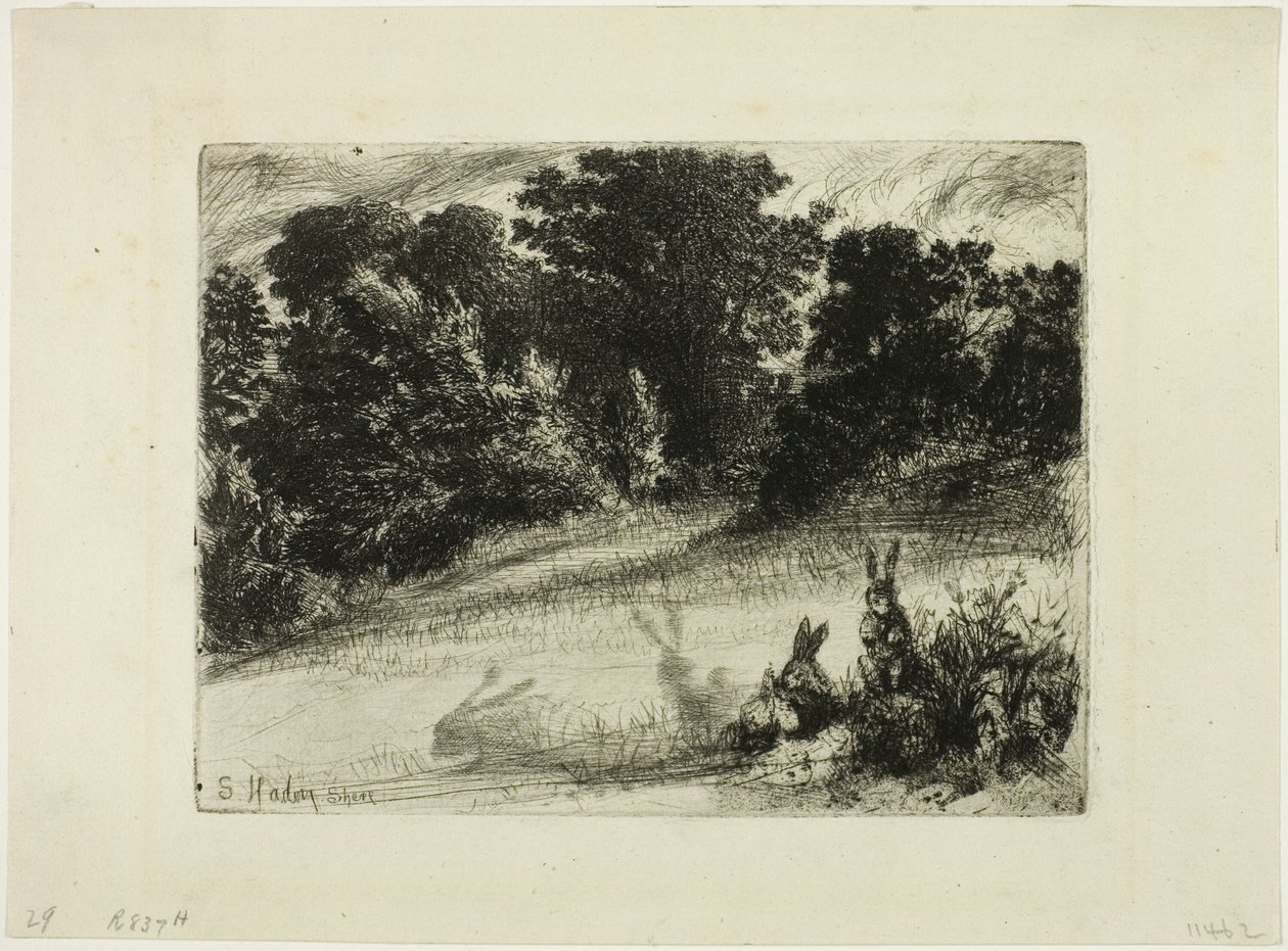 Combe Bottom 作者 弗朗西斯·西摩·哈登（Francis Seymour Haden）