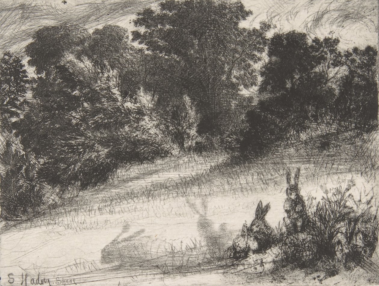 康伯伯特，1860年。 作者 弗朗西斯·西摩·哈登（Francis Seymour Haden）