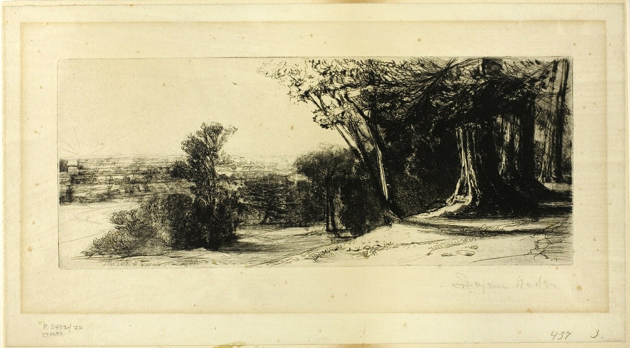 清晨，里士满公园 作者 弗朗西斯·西摩·哈登（Francis Seymour Haden）