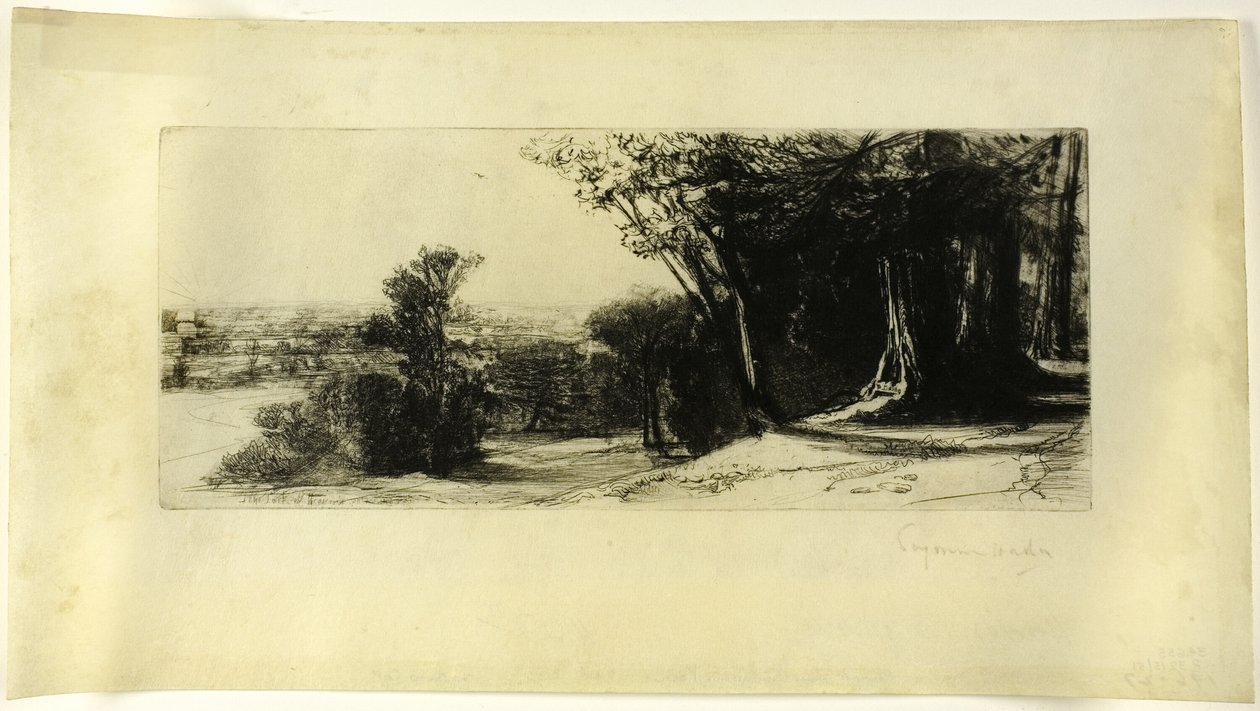 清晨，里士满公园 作者 弗朗西斯·西摩·哈登（Francis Seymour Haden）