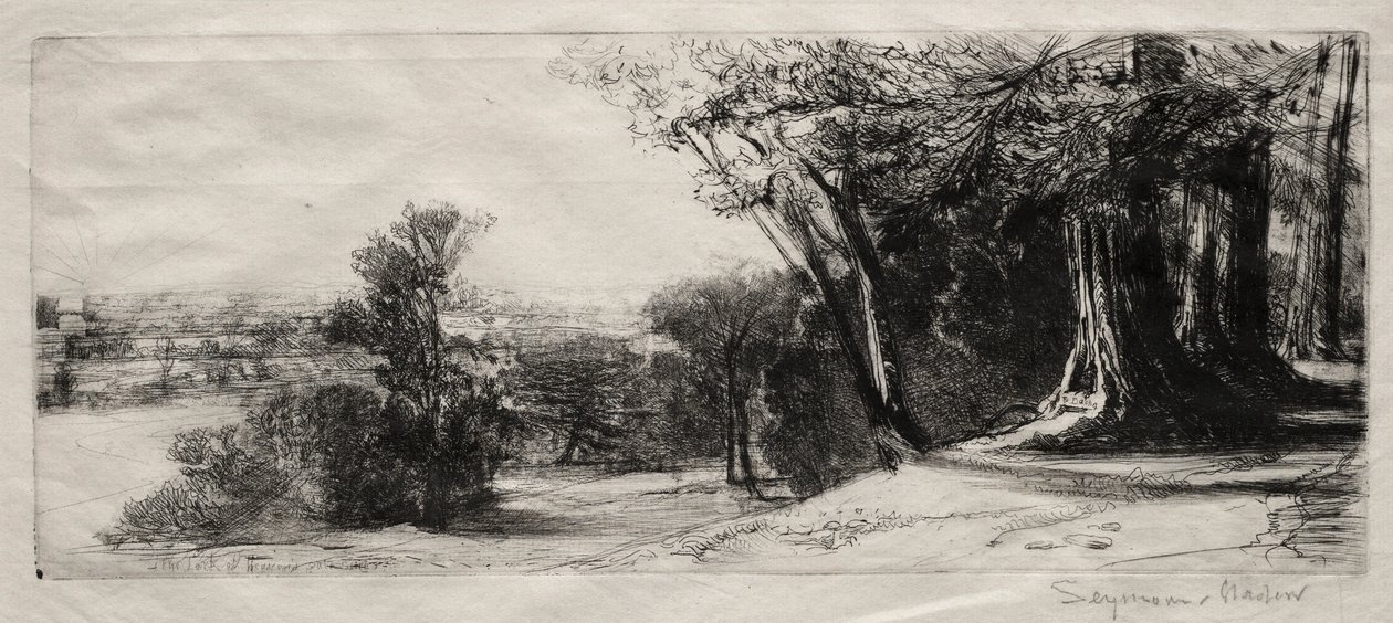 清晨，里士满公园。 作者 弗朗西斯·西摩·哈登（Francis Seymour Haden）