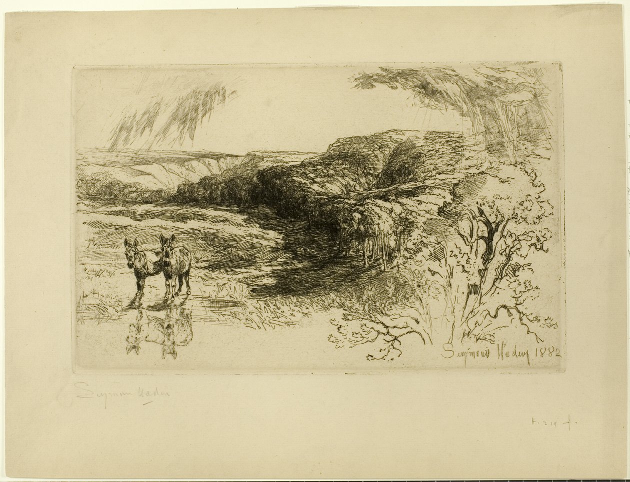 Encombe Woods, No. 作者 弗朗西斯·西摩·哈登（Francis Seymour Haden）