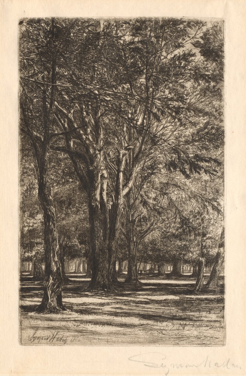 肯辛顿花园，第二大板块，1860年。 作者 弗朗西斯·西摩·哈登（Francis Seymour Haden）