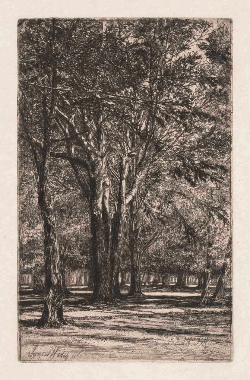 肯辛顿花园（Kensington Gardens），《大盘子》第二号，1860年。 作者 弗朗西斯·西摩·哈登（Francis Seymour Haden）