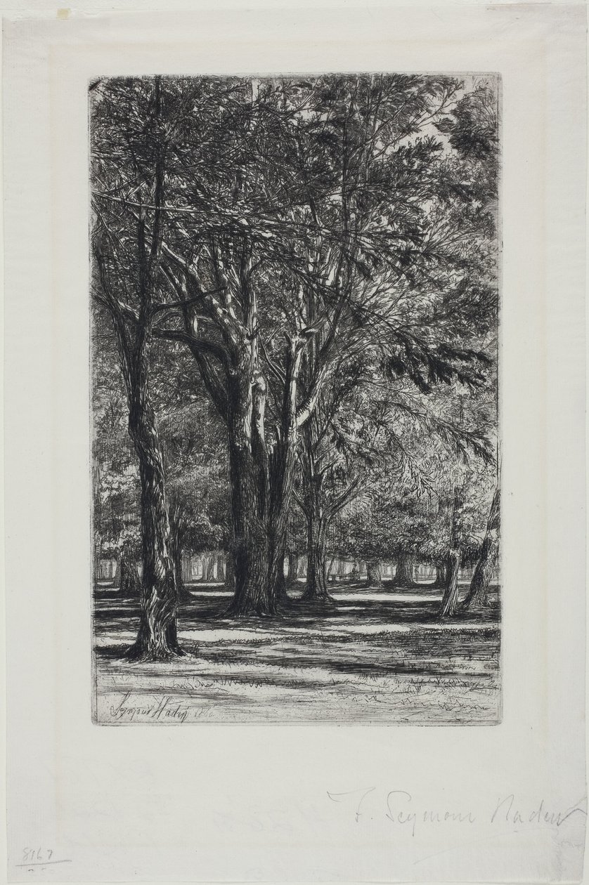 肯辛顿花园，第 II 号（大板） 作者 弗朗西斯·西摩·哈登（Francis Seymour Haden）