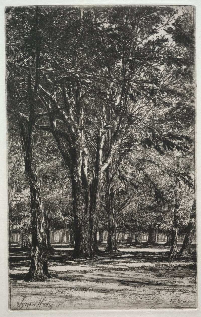 肯辛顿花园大盘子，1860年。 作者 弗朗西斯·西摩·哈登（Francis Seymour Haden）