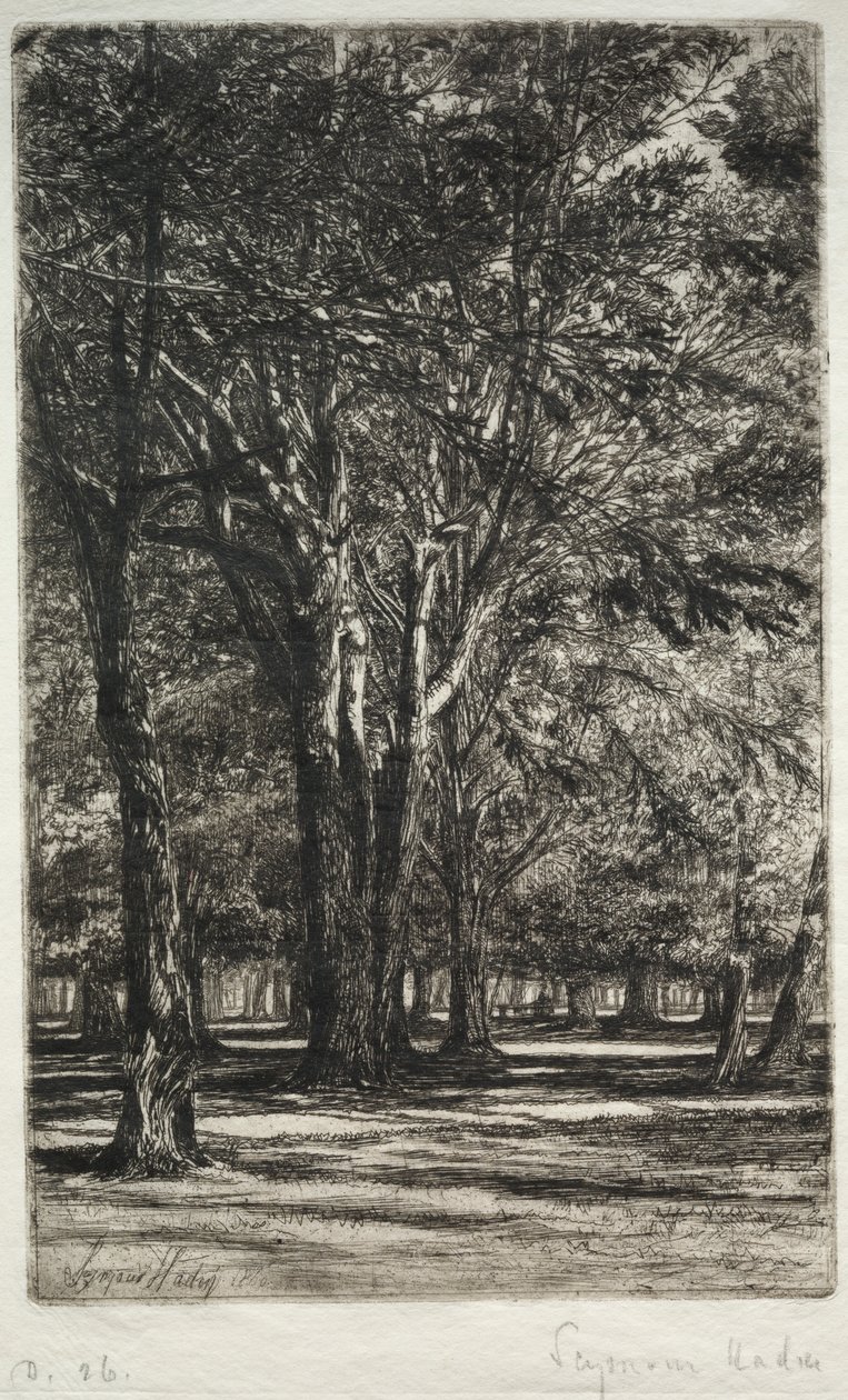 肯辛顿花园更大的盘子，1860年。 作者 弗朗西斯·西摩·哈登（Francis Seymour Haden）