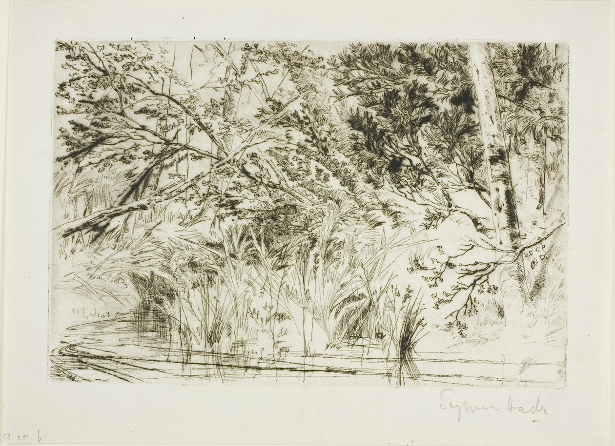 溪口，第二号 作者 弗朗西斯·西摩·哈登（Francis Seymour Haden）