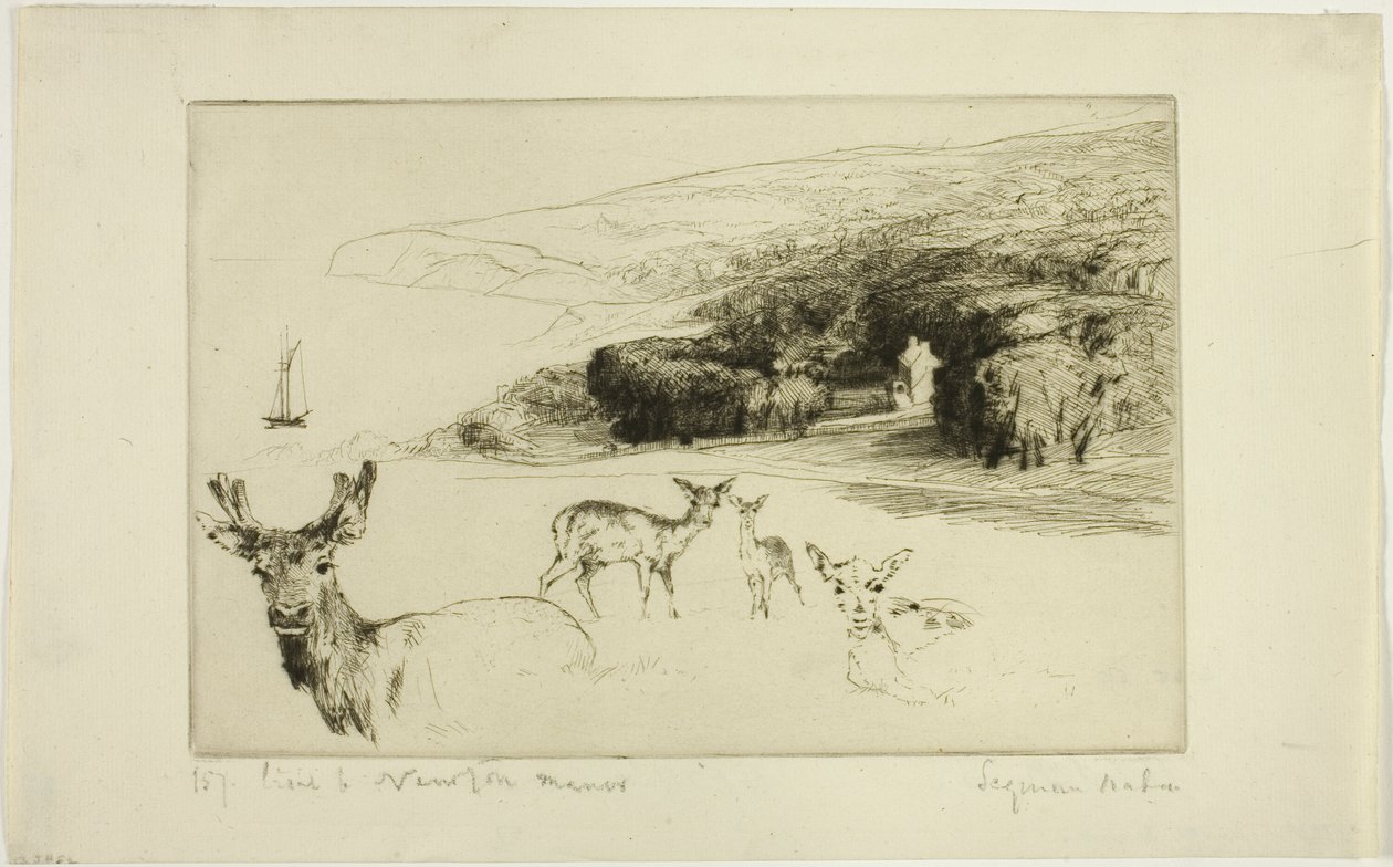 牛顿庄园 作者 弗朗西斯·西摩·哈登（Francis Seymour Haden）