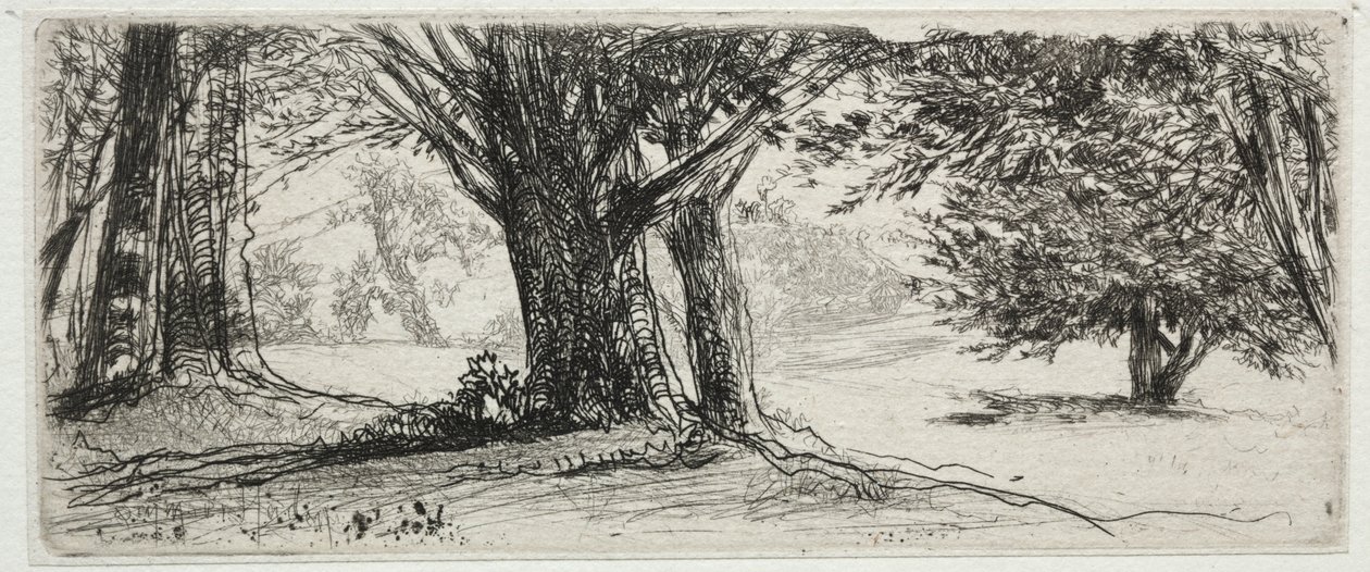 冬青田园 作者 弗朗西斯·西摩·哈登（Francis Seymour Haden）