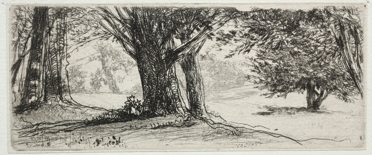 冬青田。 作者 弗朗西斯·西摩·哈登（Francis Seymour Haden）
