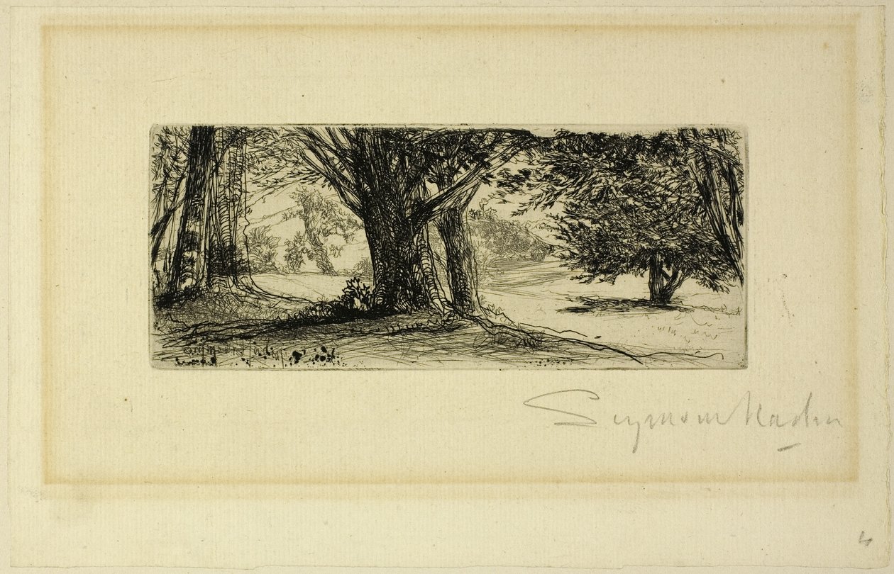 冬青田野 作者 弗朗西斯·西摩·哈登（Francis Seymour Haden）