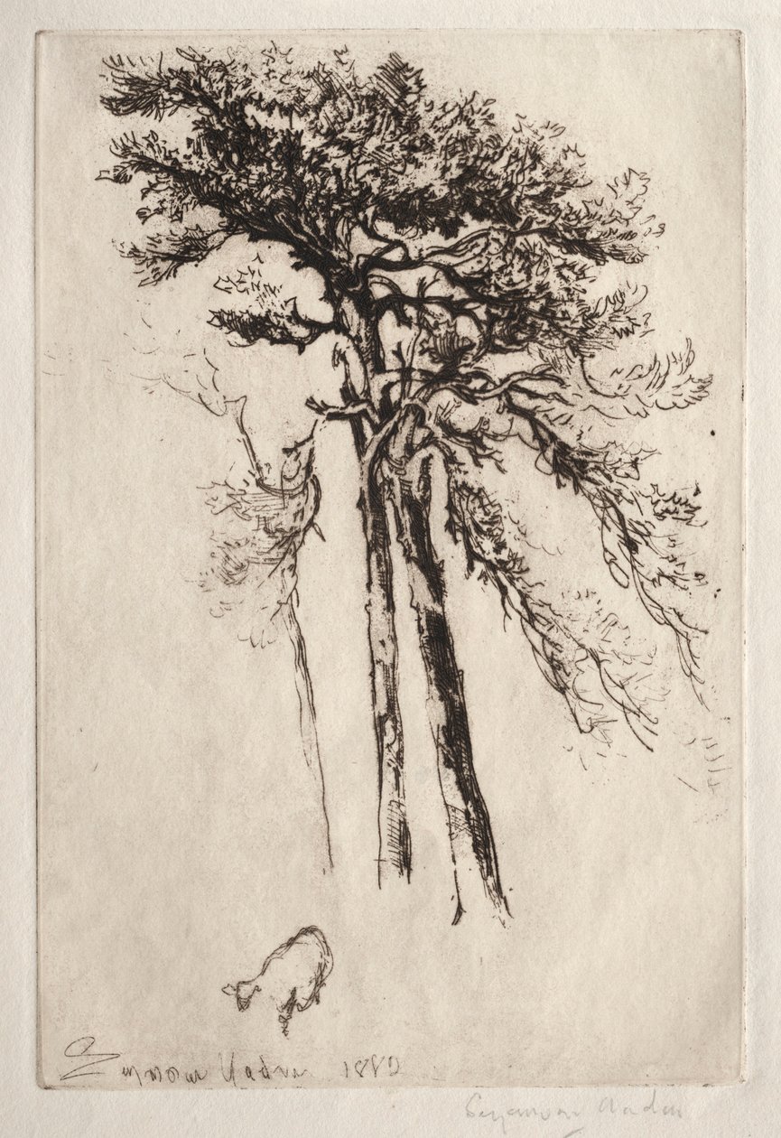 最新树木，1882年。 作者 弗朗西斯·西摩·哈登（Francis Seymour Haden）