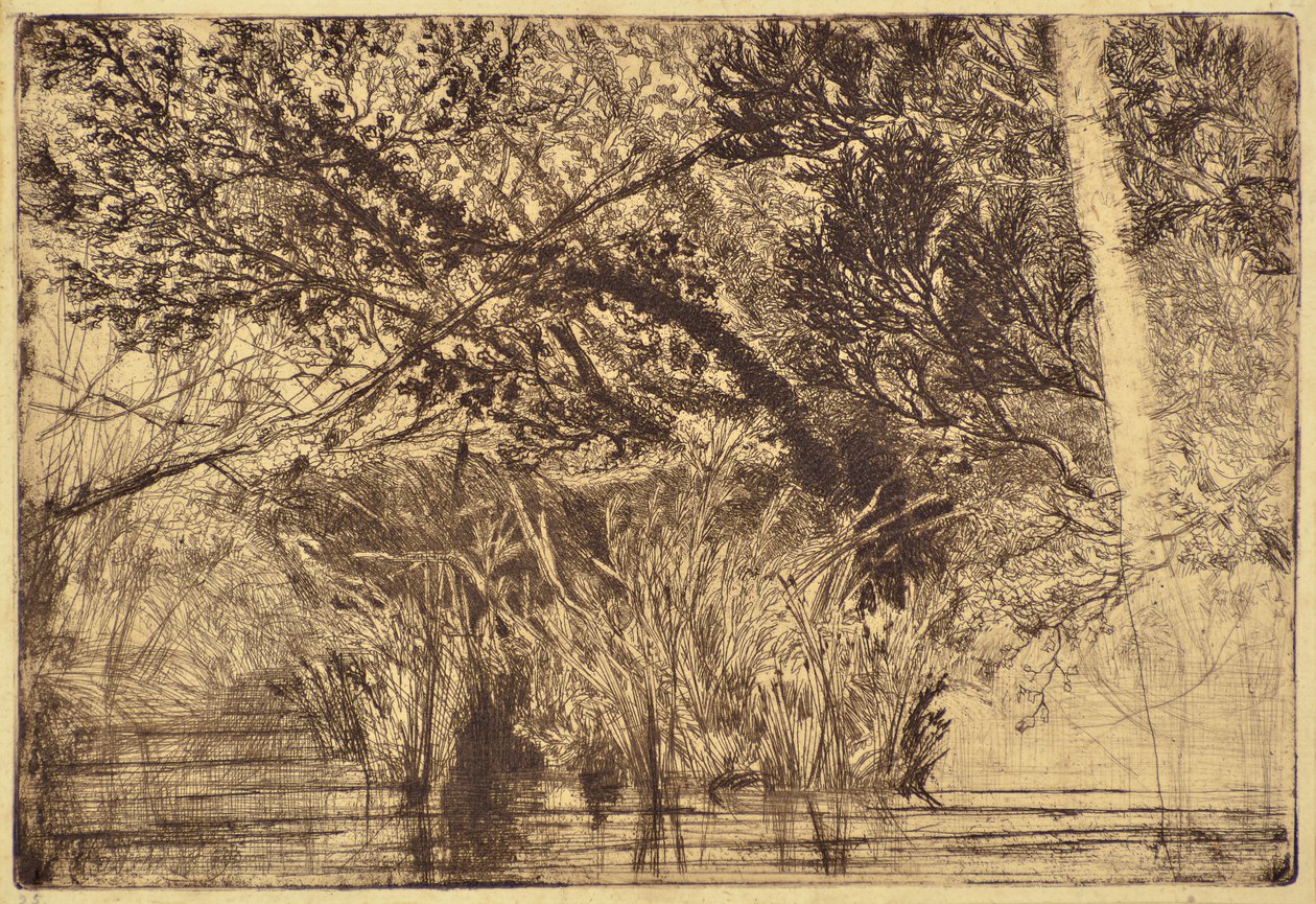 布鲁克一号嘴 作者 弗朗西斯·西摩·哈登（Francis Seymour Haden）