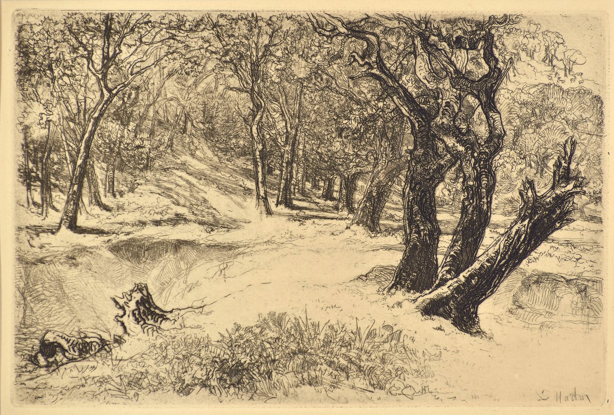 The Three Sisters 作者 弗朗西斯·西摩·哈登（Francis Seymour Haden）