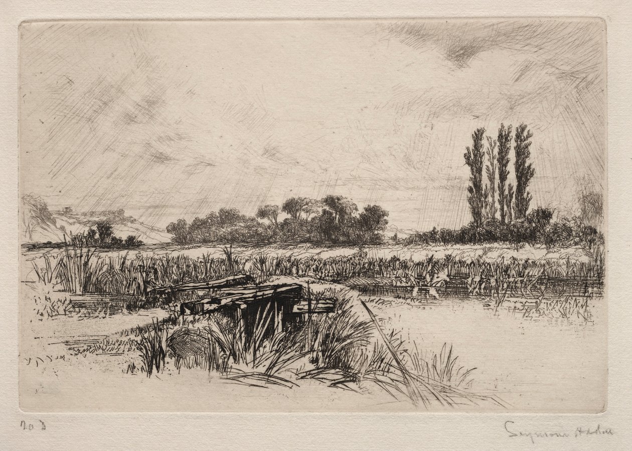 水上草原，1859年。 作者 弗朗西斯·西摩·哈登（Francis Seymour Haden）