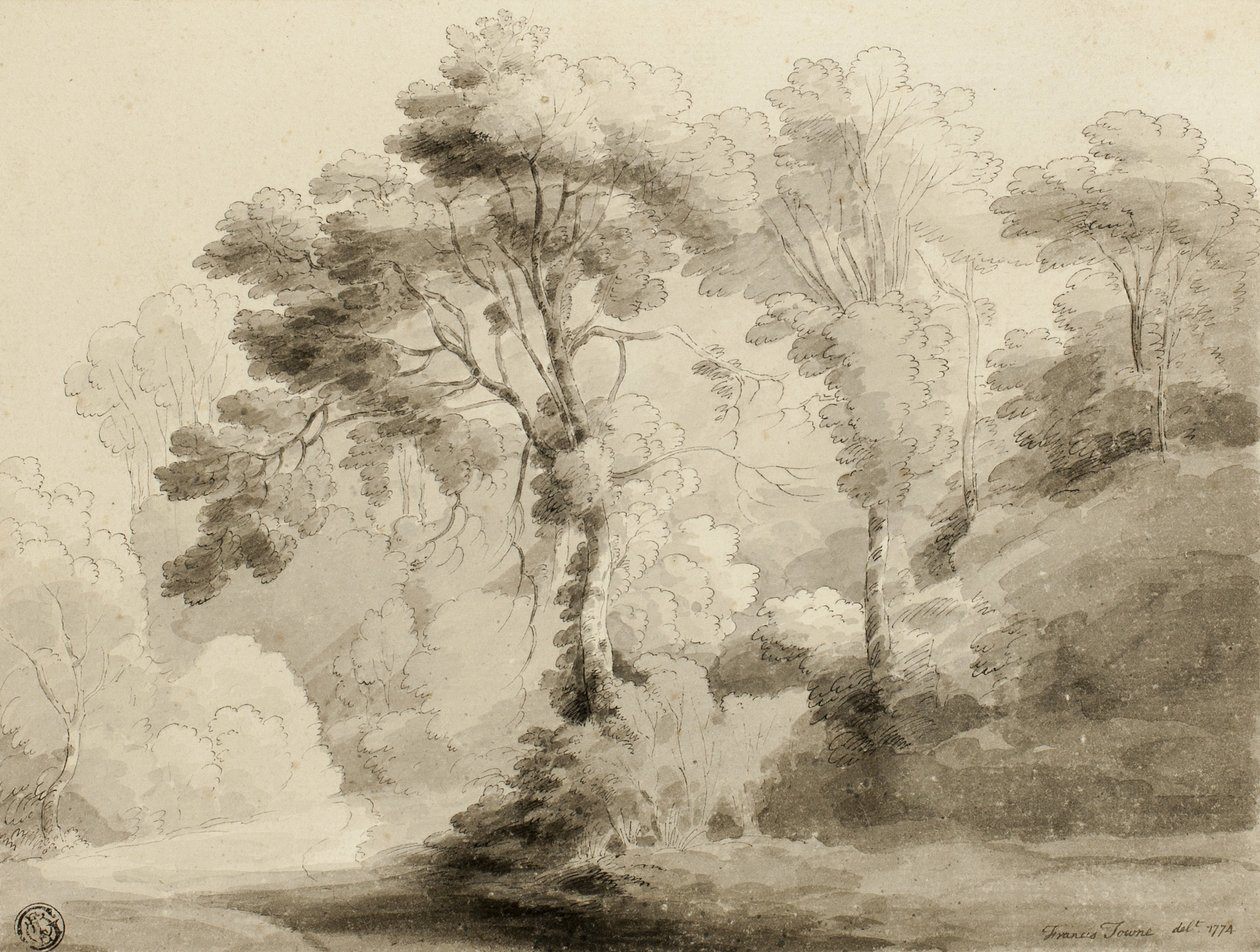 树木繁茂的风景，1774年 作者 弗朗西斯·汤恩