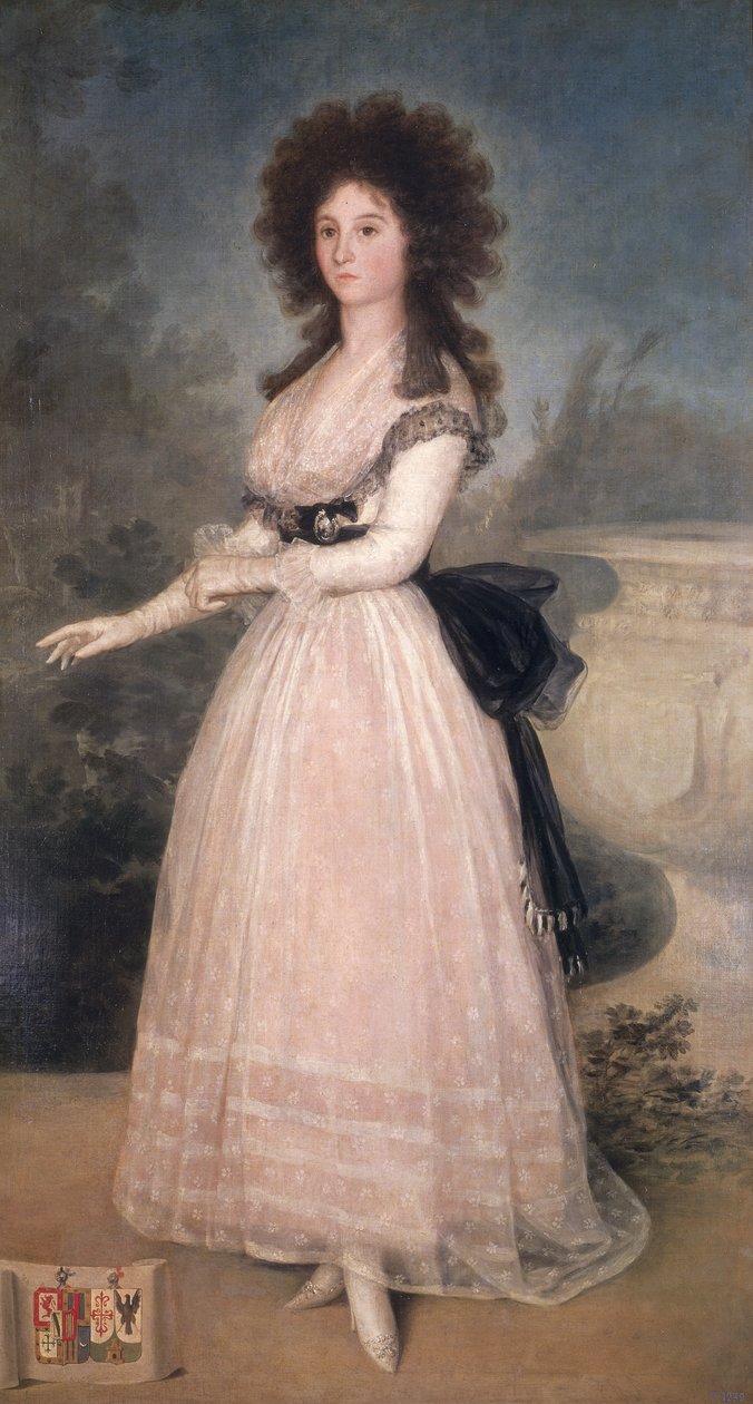 Dona Tadea Arias de Enriquez，1793-94 作者 弗朗西斯科·德·戈雅