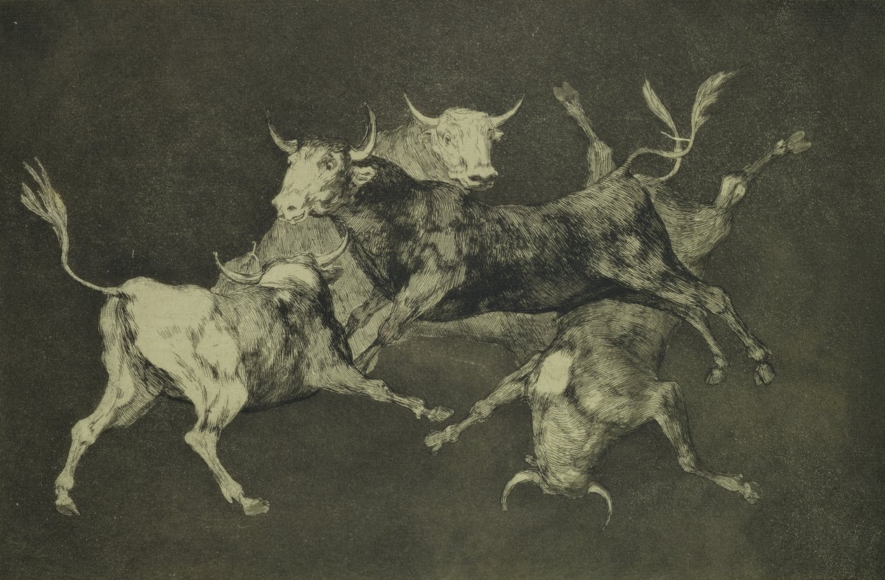公牛的愚蠢，来自Follies系列，c.1815-24（日本纸上的蚀刻和aquatint） 作者 弗朗西斯科·德·戈雅