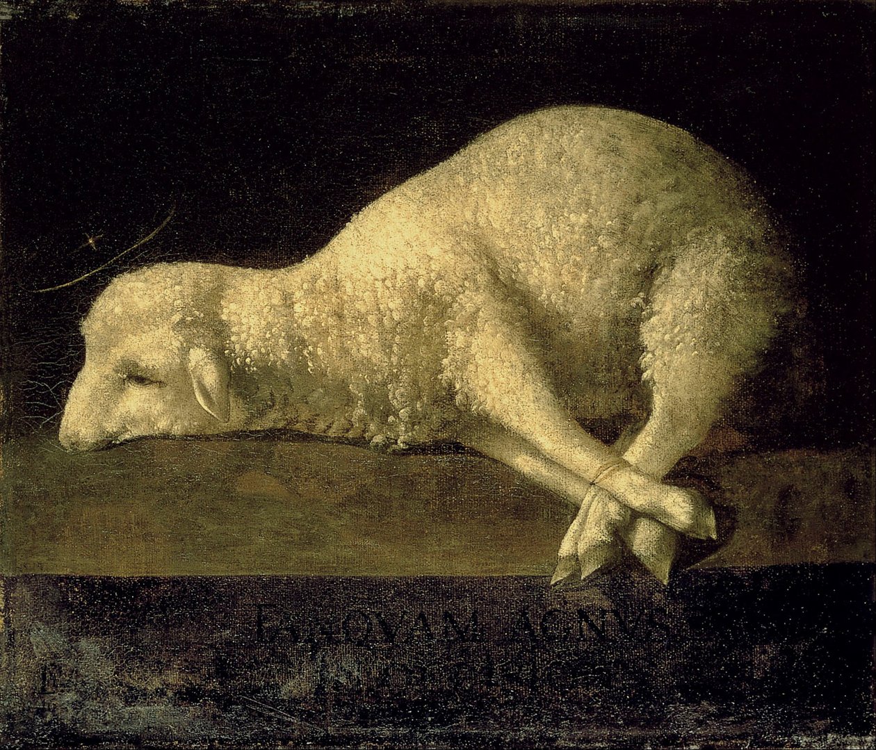 Agnus Dei 作者 弗朗西斯科·德祖巴兰