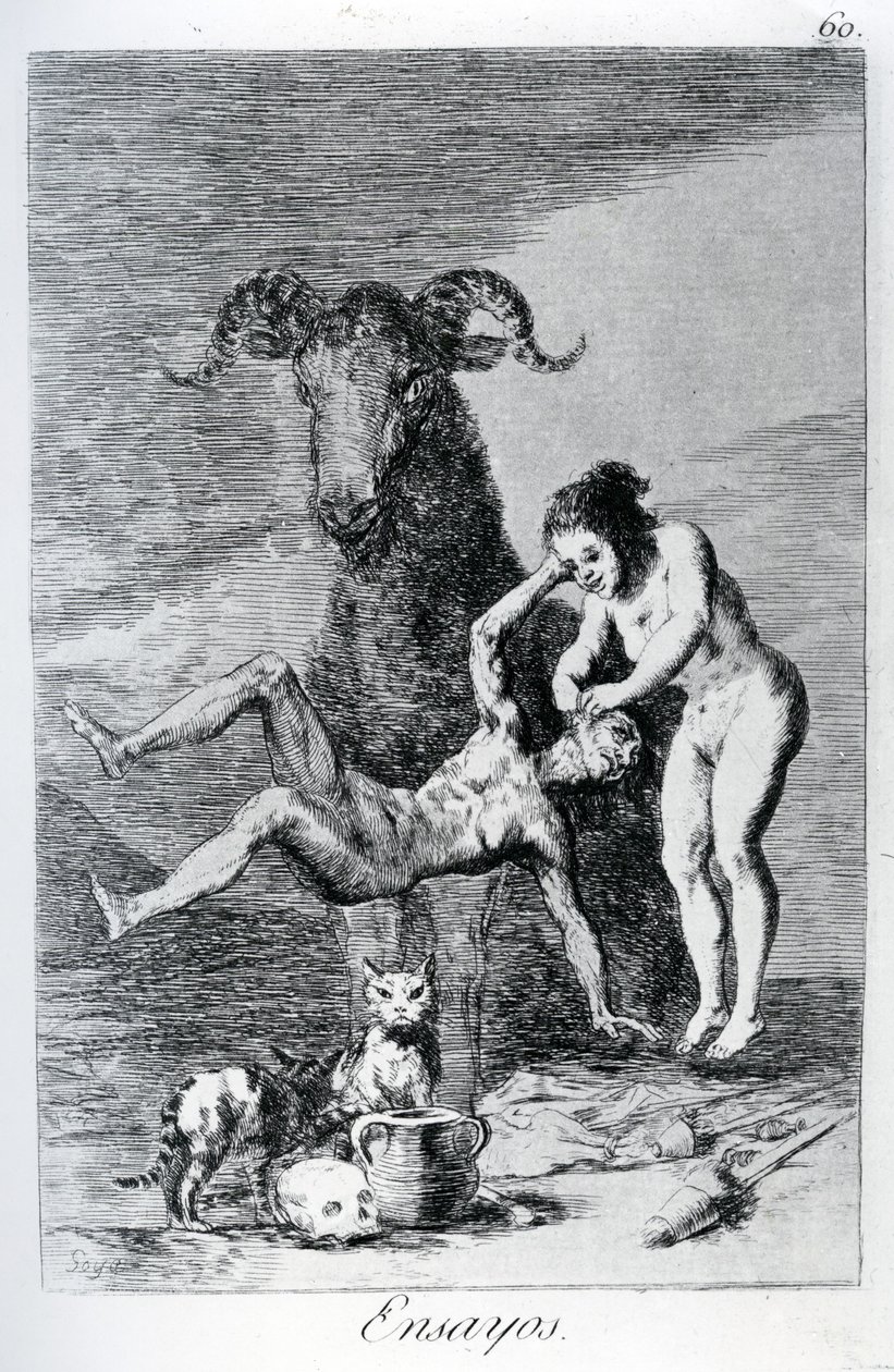 试验，&39;Los caprichos&39;的第60页，1799年 作者 弗朗西斯科·德·戈雅