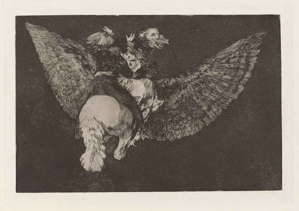 Disparate volante (Flying Folly)，又名《Reniego al amigo que cubre con las alas y muerde con el pico》，选自《Los disparates (Los proverbios)》系列。 作者 弗朗西斯科·德·戈雅