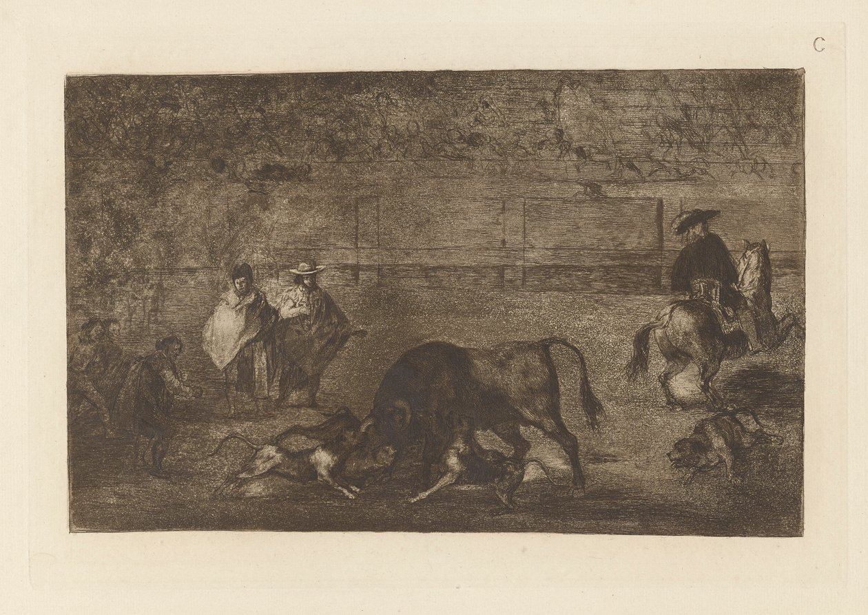 Les chiens laches sur le taureau（《放牛的狗》），La tauromaquia（第三版）C 图版 作者 弗朗西斯科·德·戈雅