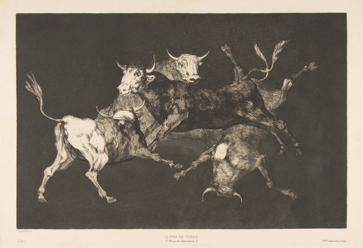 来自“异类”的板块D：傻瓜或小公牛-愚蠢， 1816-23年于1877年出版。 作者 弗朗西斯科·德·戈雅