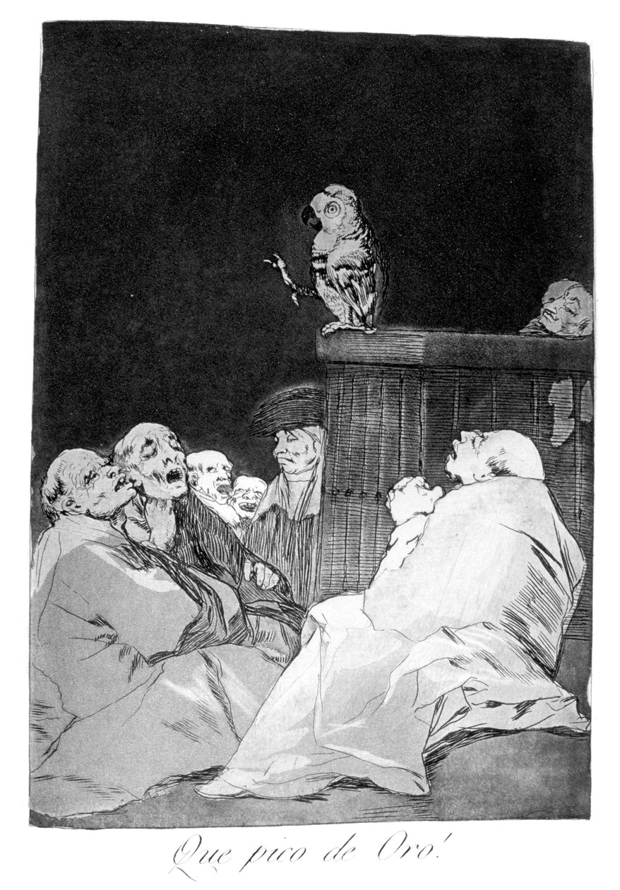 多么金喙！，1799 作者 弗朗西斯科·德·戈雅