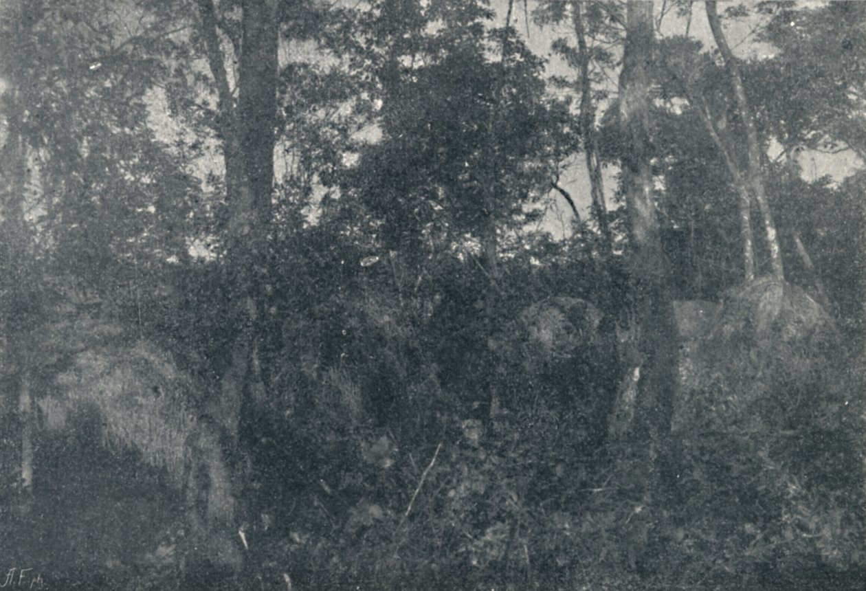 Cabanas de Indios，1895年 作者 弗朗西斯科·亨斯勒