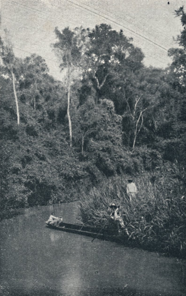 Rio de S.Anastacio，1895年 作者 弗朗西斯科·亨斯勒