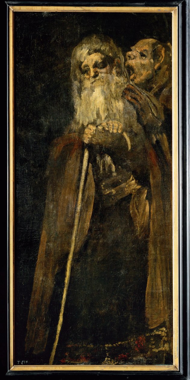  作者 弗朗西斯科·何塞·德·戈雅 y Lucientes