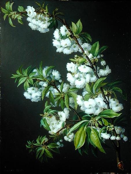 一枝白花》（布面油画 作者 弗朗西斯科·拉科马