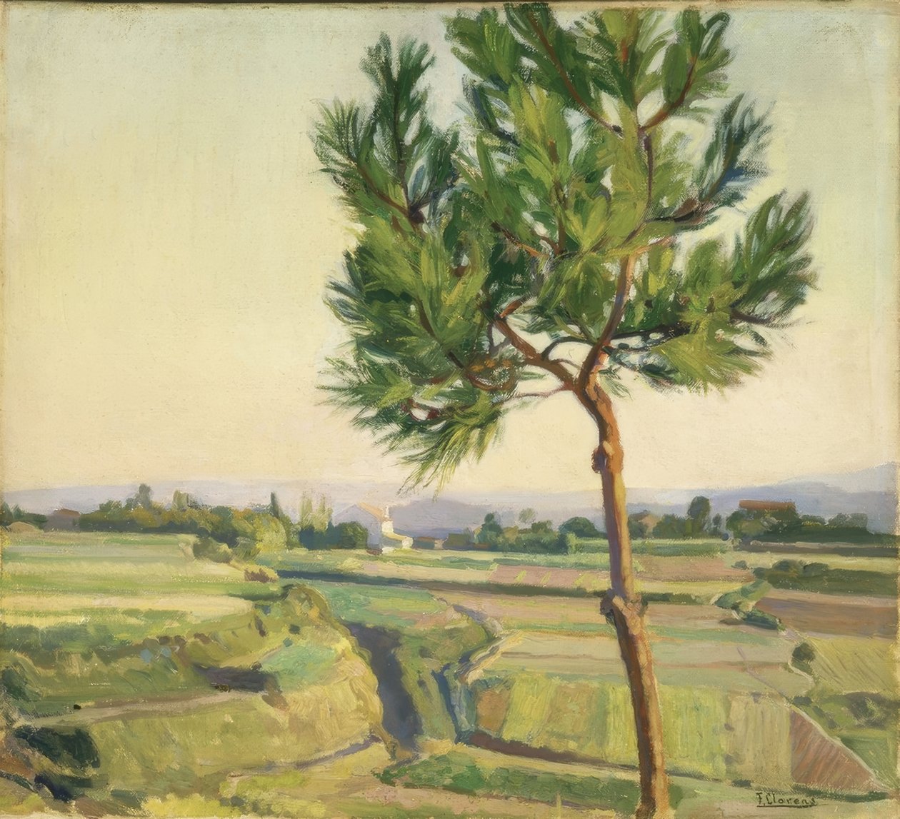 树（MERA）–1931–45X50.5– 作者 弗朗西斯科·洛伦斯·迪亚兹
