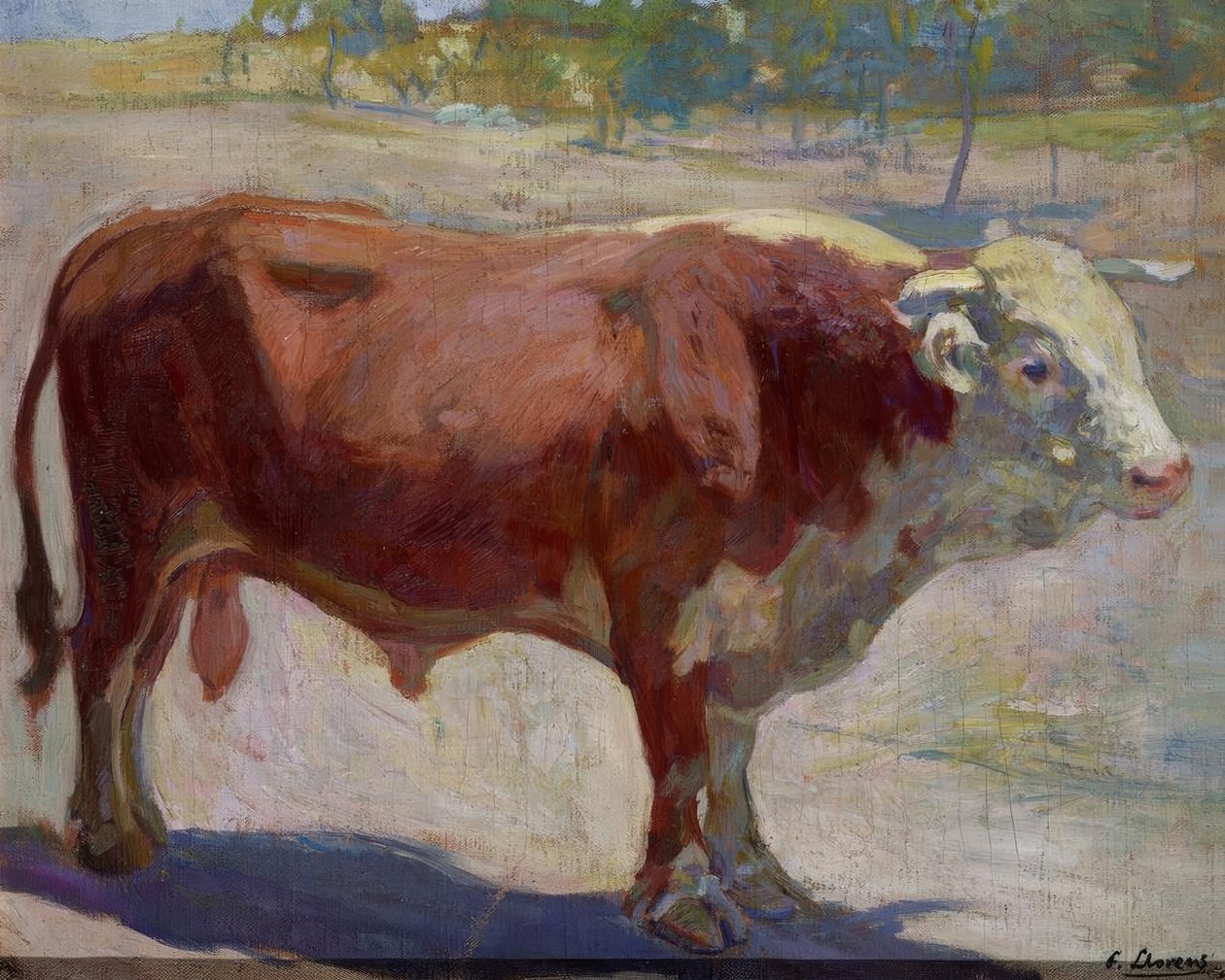 El Toro Marelo 作者 弗朗西斯科·洛伦斯·迪亚兹