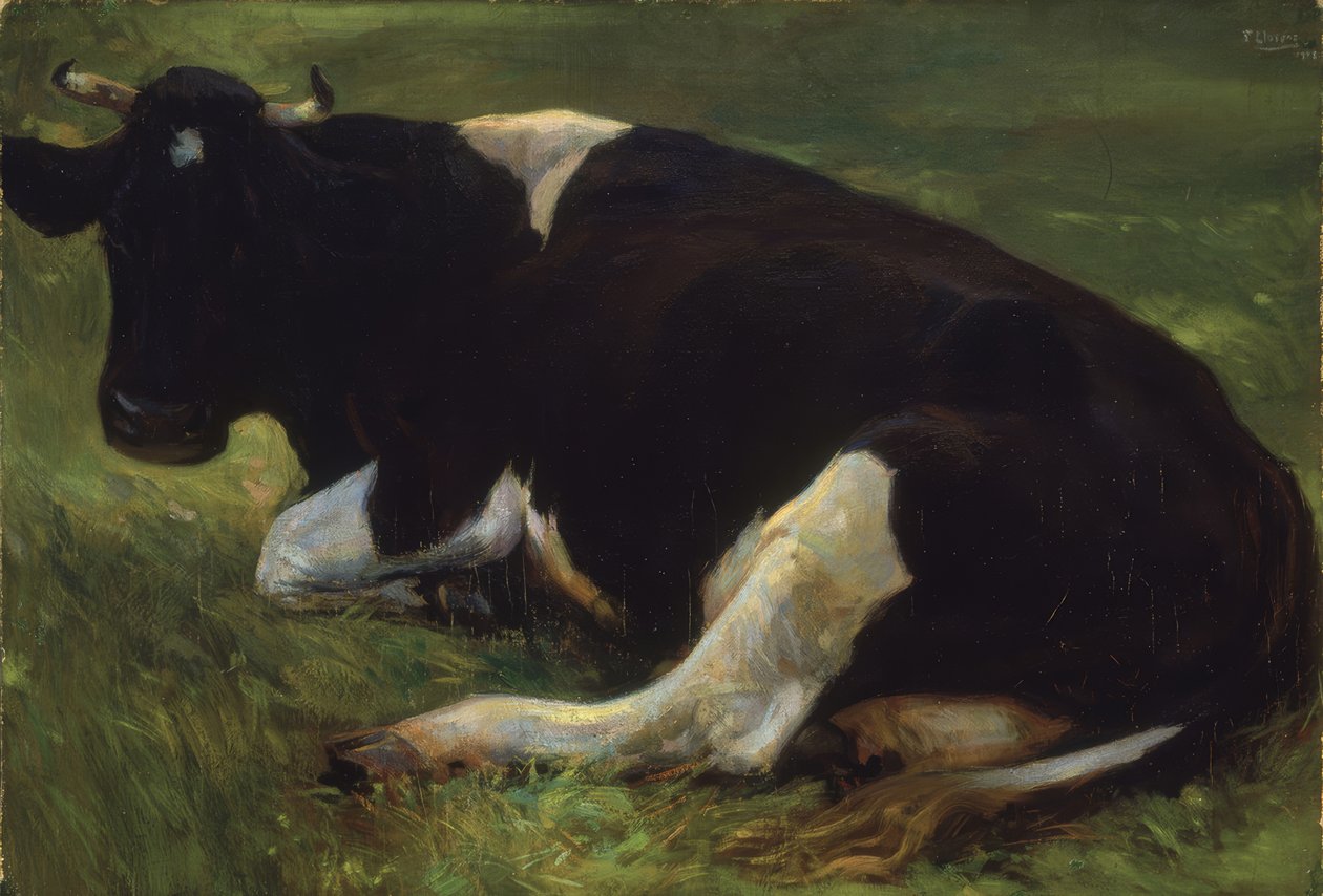 牛-1908-64X95厘米 作者 弗朗西斯科·洛伦斯·迪亚兹