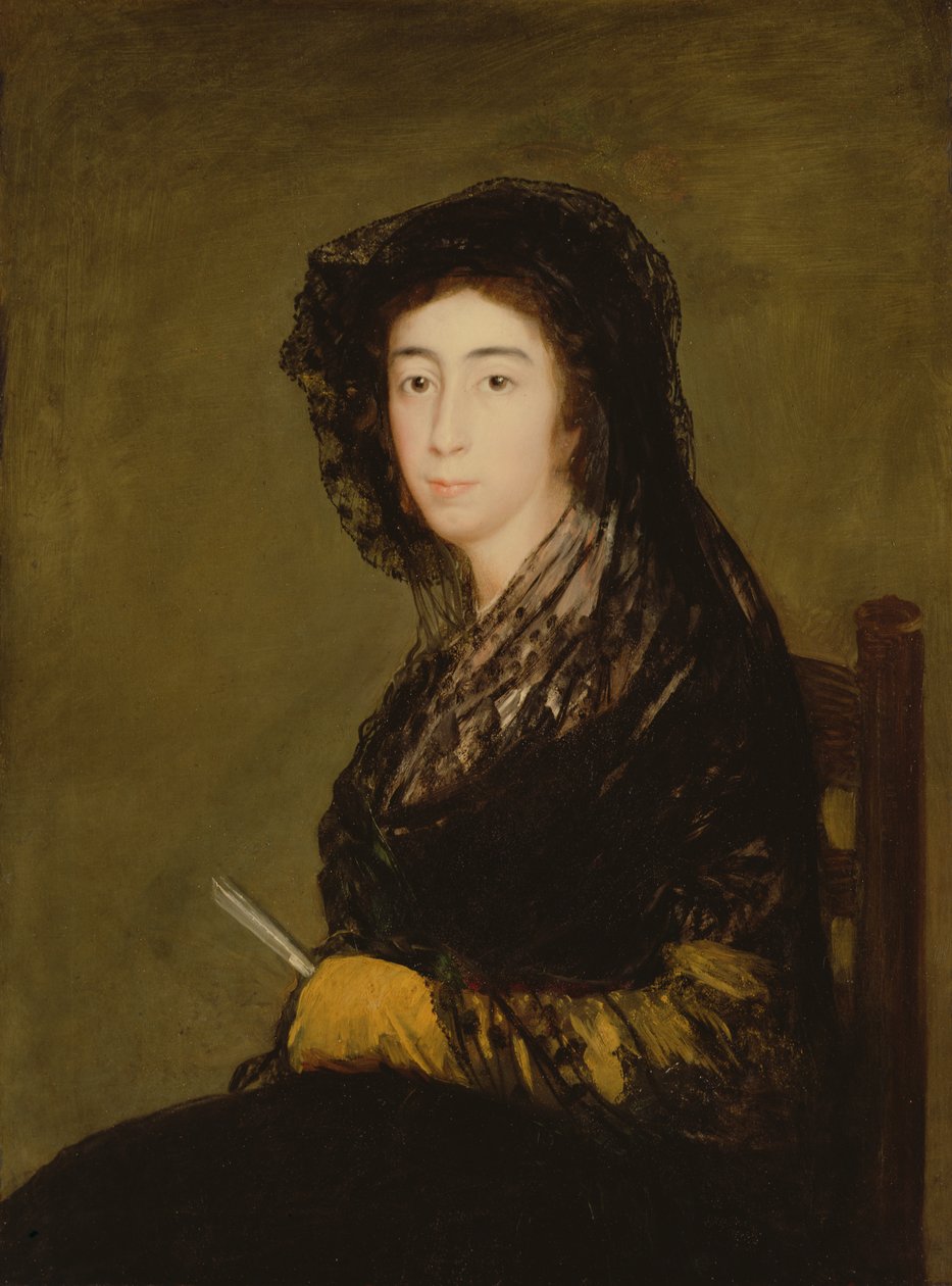 Dona Amalia Bonells de Costa的肖像，c.1805 作者 弗朗西斯科·德·戈雅