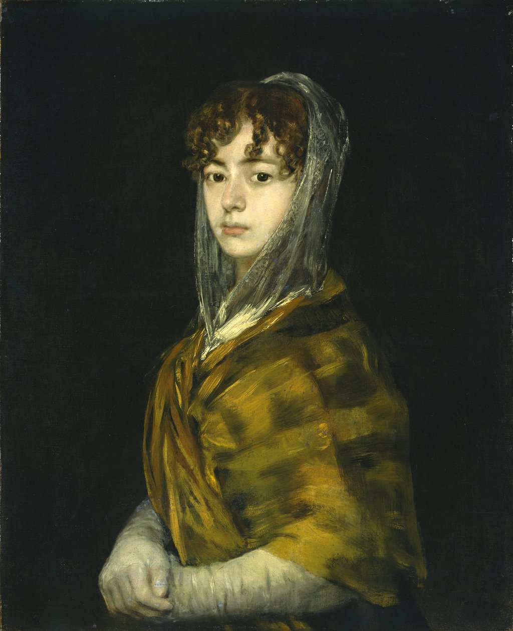 塞诺拉·萨瓦萨·加西亚（Senora Sabasa Garcia），约1806-11年（布面油画） 作者 弗朗西斯科·德·戈雅