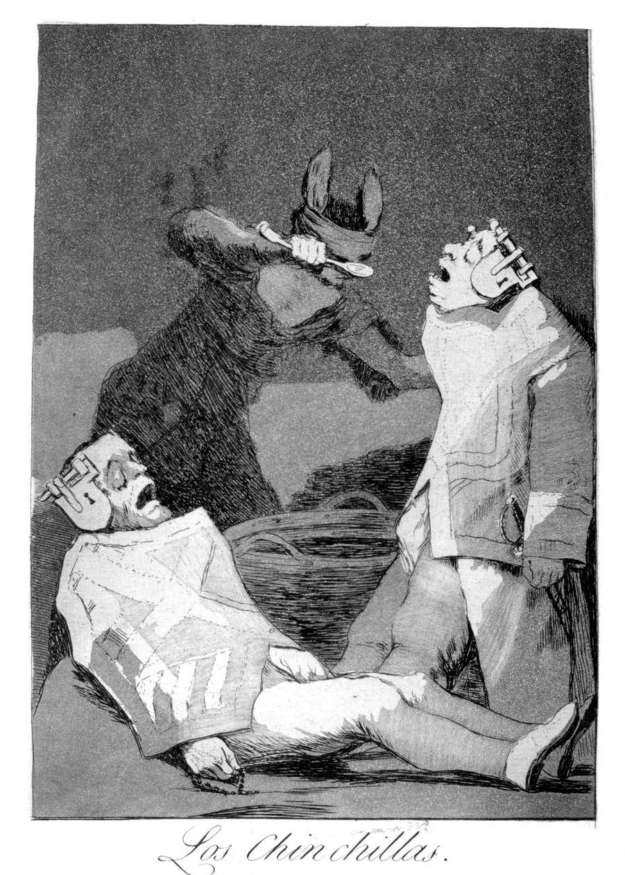 龙猫，1799年 作者 弗朗西斯科·德·戈雅
