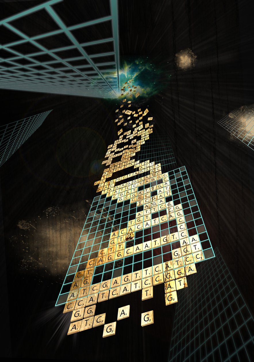 上帝不玩骰子，2014（数字） 作者 弗朗索瓦域