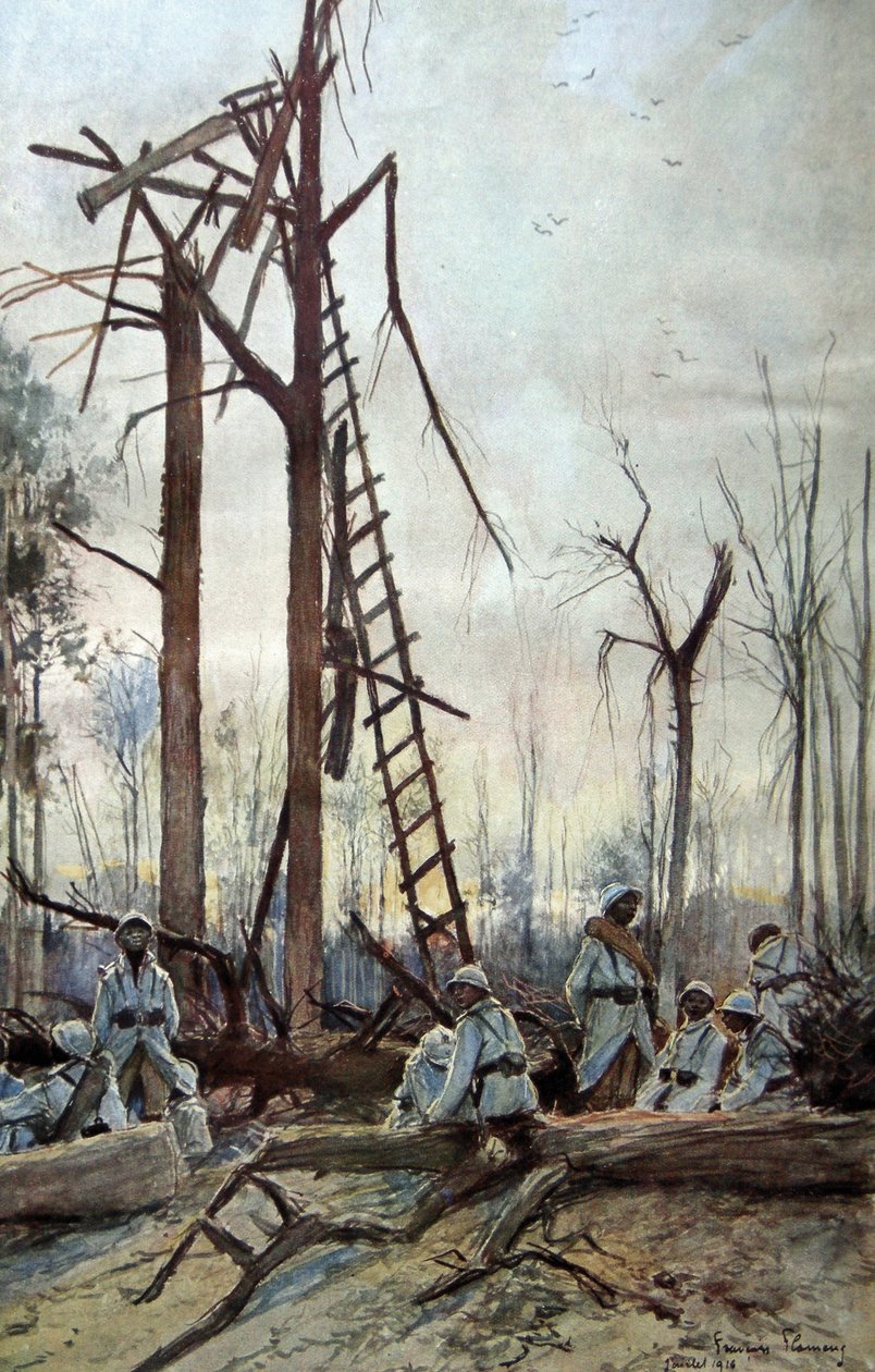 1916年的索姆河战役 作者 弗朗索瓦·弗拉蒙