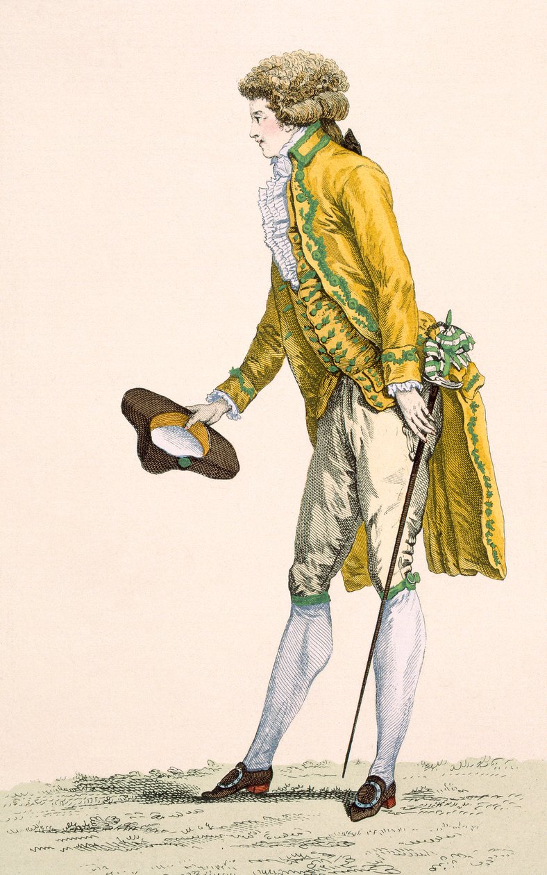 一名穿着刺绣夹克和背心的年轻男子，由Le Beau雕刻，来自&39;Galeries des Modes et Costumes Francais&39;的第259号盘子，c.1778-87 99：衣服;传统服饰 作者 弗朗索瓦·路易斯·约瑟夫·瓦托
