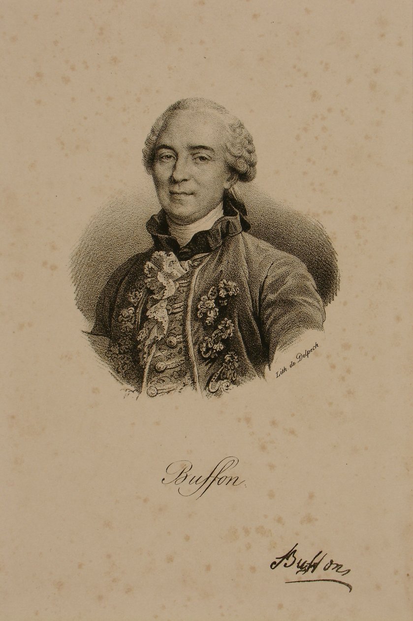 Georges-Louis Leclerc（1707-88）布冯伯爵 作者 弗朗索瓦·塞拉芬·德尔佩奇