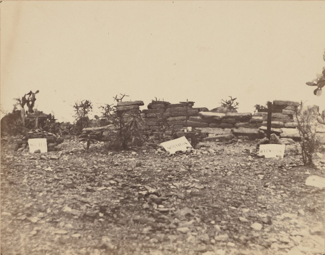 [死亡现场]，1867年。 作者 弗朗索瓦·奥伯特