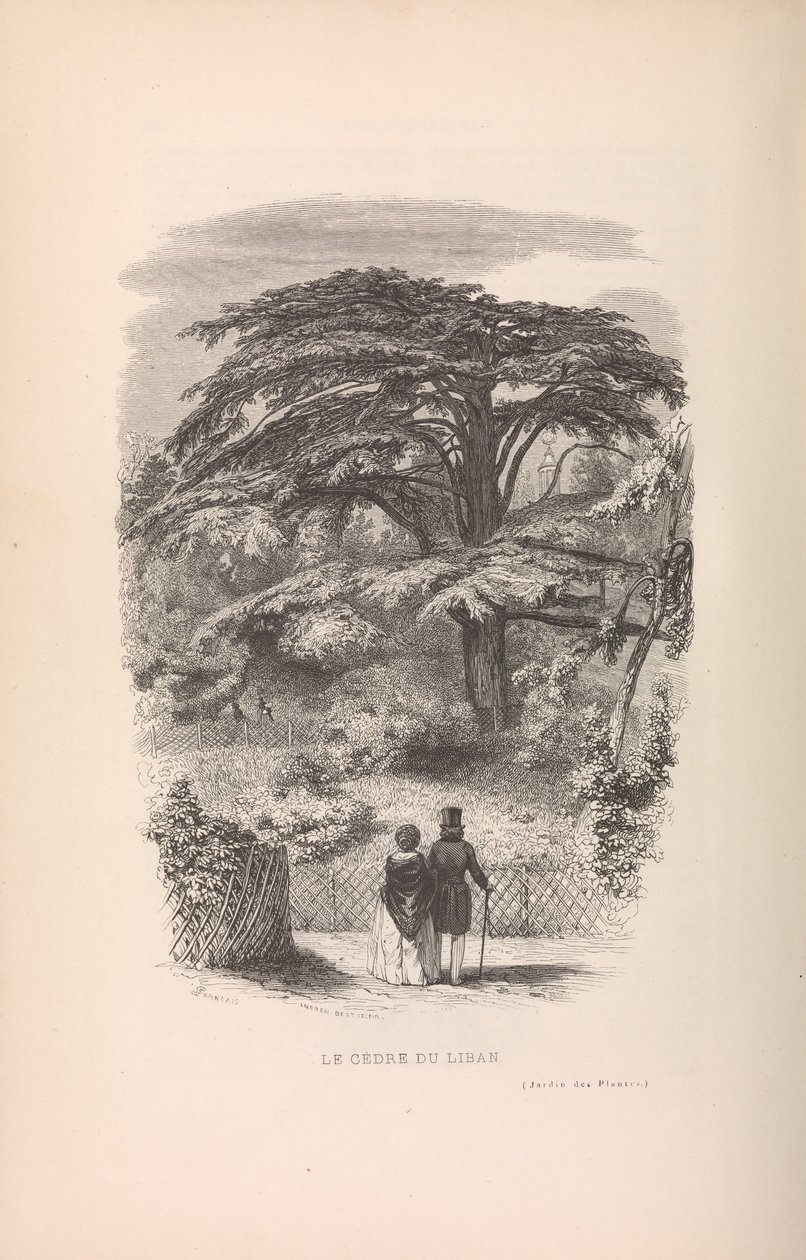 Le Jardin des Plantes, Descriptions et Moeurs des Mammiferes, 1842. 作者 弗朗索瓦·博伊塔尔